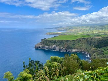 Hovězí, vepřový nebo rybí?