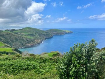 Jak podpořit tělo při detoxikaci? - HEALIE®